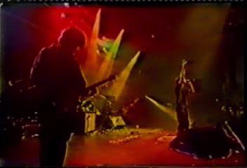the verve